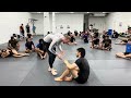 bteam training session during the cji adcc camp