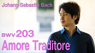 J.S.Bach: Amore traditore BWV203