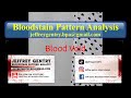 Bloodstain Pattern Analysis:  Blood Voids