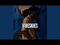 Vibeskies