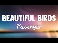 Beautiful Birds (Feat. Birdy) - Passenger{Lyrics Video}🛸