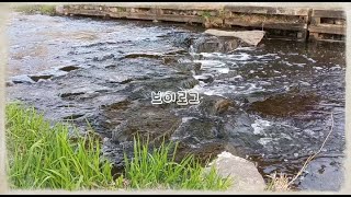 KR/JP[韓国留学/Vlog]대학생활의 추억