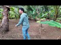 farm lot tour ▪︎ farm lot for sale in abucay bataan