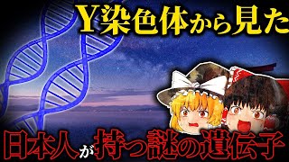 【謎の遺伝子】日本人は中東からやってきた？私たちに眠る神の遺伝子とは？