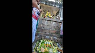 Sri Andal performs kanu pidi ritual