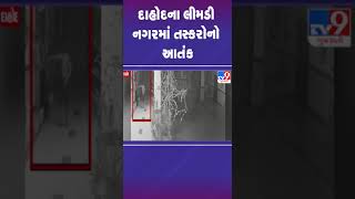 દાહોદના લીમડી નગરમાં તસ્કરોનો આતંક | #dahod #tv9gujarati #shorts