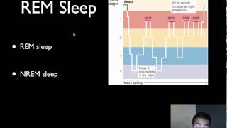 AP Psychology - Consciousness - Part 1 - Sleep
