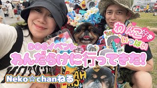 わんこがいっぱい集まるDOGイベント🐶わんだらけ名古屋に行ってきた❣️✨