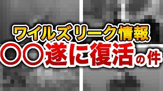 漏れすぎ…モンハンワイルズのリーク情報