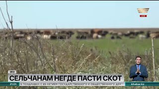 Земельный скандал назревает в Западно-Казахстанской области