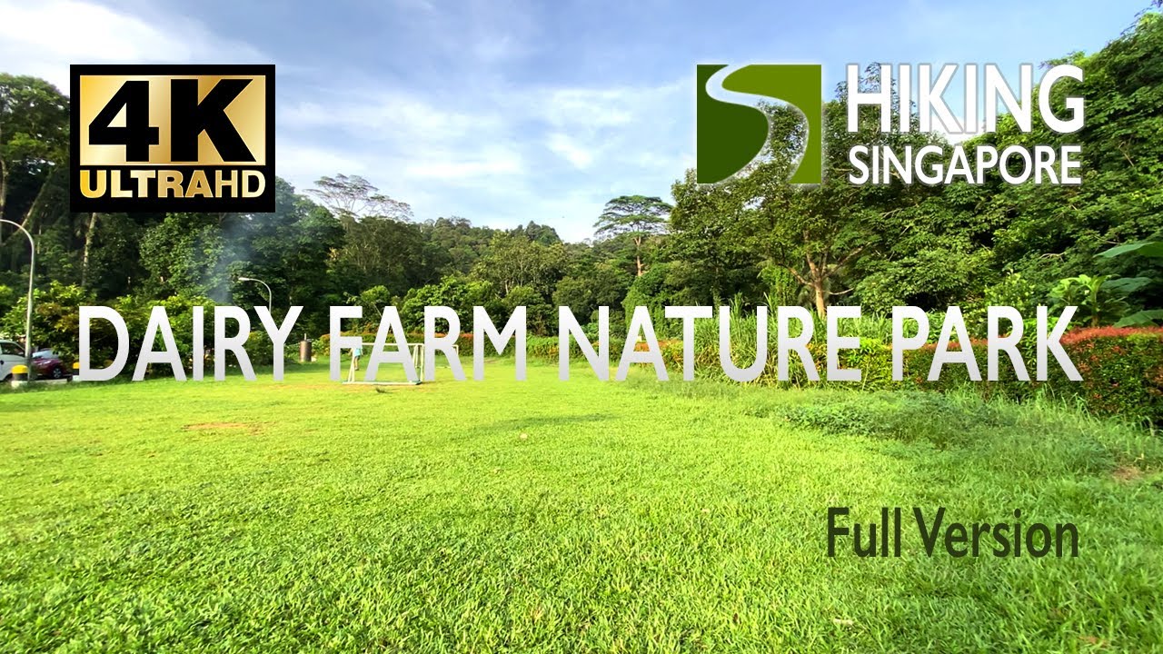 [4K] Dairy Farm Nature Park - Hiking Singapore (Full Version) - YouTube