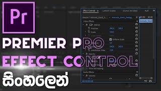 Premier Pro Effect Controls Basics In Sinhala | Mr.photos - 3D