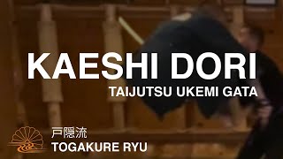 Togakure Ryu Ninpo Kaeshi Dori