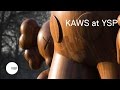 KAWS at Yorkshire Sculpture Park