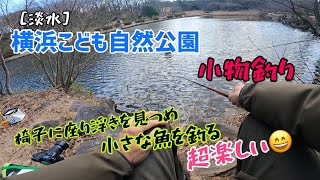 [淡水]横浜こども自然公園／小物釣り