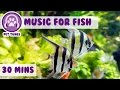 Music for Fish! Fish Tank Music.....We Love Pet Fish!, Fish Therapy, Aquarium Relax, Help My Fish