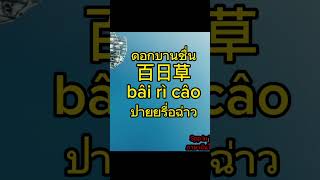 ภาษาจีนกลางพื้นฐาน คำศัพท์น่ารู้ดอกไม้ชนิดต่างๆ#國語 #ภาษาไทย #ภาษาจีนกลาง#ภาษาจีนในไต้หวัน #แมนดาริน