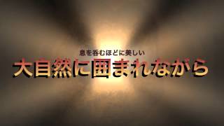 いのち・水・おとな川ガキたち in 宮崎県・祝子川