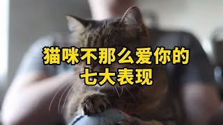 如果你感觉猫咪不是很爱你，看看它有没有这七种表现