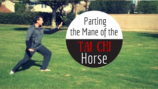 Parting the Mane on the Tai Chi Horse