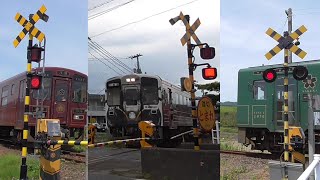 ★カンカン★【踏切】若桜鉄道　鳥取県鳥取市・八頭町　郡家駅・河原駅・隼駅・安部駅　隼ラッピング