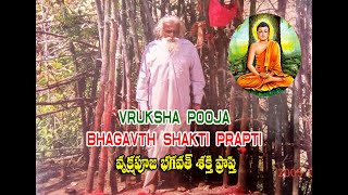 Vriksha Puja Bhagavath Shakti Prapti | వృక్ష పూజ భగవత్ శక్తి ప్రాప్తి  | Pulaji Baba