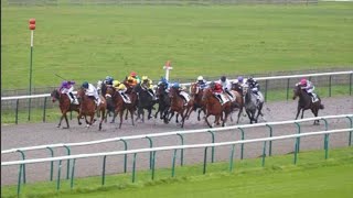 10/01/2025 - Deauville - Prix du Volcan Plat - 1400m | Réunion 1 - Course n°8 Non-partants : 5 - 10