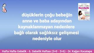 Gebelikte 6. hafta (5+0-5+6). Anne adayında ve bebekte ortaya çıkan değişiklikler ve kanama, düşük