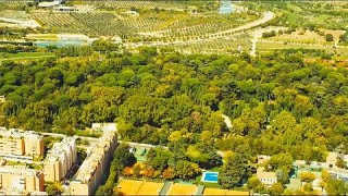 Madrid building a huge urban forest in bid to combat climate change