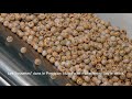 FRENCH: Precision Multi-Pellet - Grower Recommendations