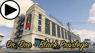 GTA V Soundtrack:Dr. Dre - "Black Privilege"