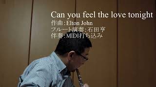 Can you feel the love tonight/愛を感じて