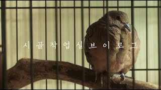 저수지옆작은시골마을 작업실일상/날지못하는새와의 짧은만남과 작별/소소한시골일상/handcarved/woodenBuddha/countryside of korea/귀촌일기