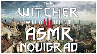 Gaming ASMR | A walk through Novigrad | The Witcher 3