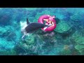 【sanyo music】go go sea story～セカンドシーズン～