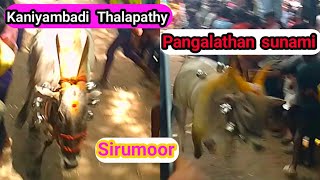 kaniyambadi Thalapathy /pangalathan sunami /sirumoor street /TAMIZHROCK