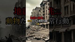 【ヤバすぎる】地震の前兆...動物たちの異常行動３選 #雑学 #怖い話 #都市伝説