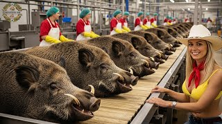 How Texas Farmers Trap & Process Millions of Wild Boars – Inside U.S. Industry Worth $100 Million