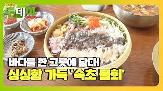 파닥파닥! 싱싱하게 살아 뛴다☆ ‘속초 물회’ㅣ생방송 투데이(Live Today)ㅣSBS Story