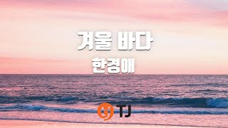 [TJ노래방] 겨울바다 - 한경애 / TJ Karaoke