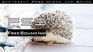 Little Things - Niwel (Copyright Free Music \u0026 Sound)