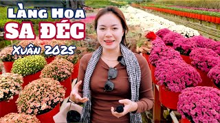 LÀNG HOA SA ĐÉC những ngày gần Tết 2025 và loài Hoa tên Song Hỷ đi ăn đặc sản HỦ TIẾU SA ĐÉC | #799