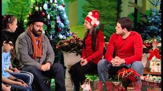 წიწვოვანი ხეები - Conifers - გადაცემა \