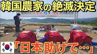 【海外の反応】政府が韓国農家を絶滅に追いやった「ヤンマー農機具が使えない」製造年度を偽装した疑惑で韓国から退場命令！【にほんのチカラ】