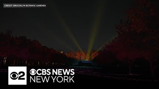 Brooklyn Botanic Garden opens winter \