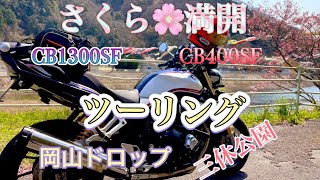 CB1300SF SPで行く‼️岡山県美咲町の三休公園🌸さくら🌸ツーリング【モトブログ】