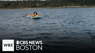 Great white shark spotted next to paddleboarders off Cape Cod beach