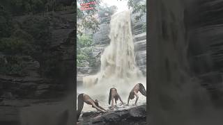 Bahubali waterfalls #shots #waterfalls #nature #subscribe #waterfall