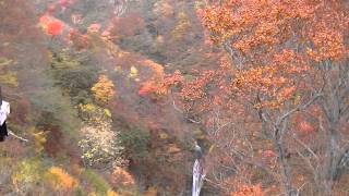 那須高原　駒止の滝の紅葉