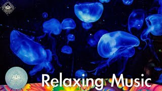 【大自然音樂】4小時 海底聲音 x 432Hz 放鬆音樂｜進入深度睡眠．增加生長賀爾蒙．修復身體機能